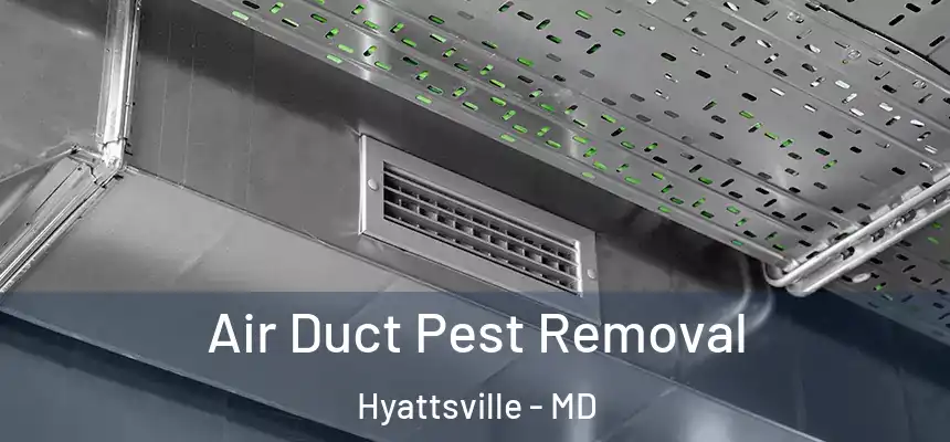 Air Duct Pest Removal Hyattsville - MD