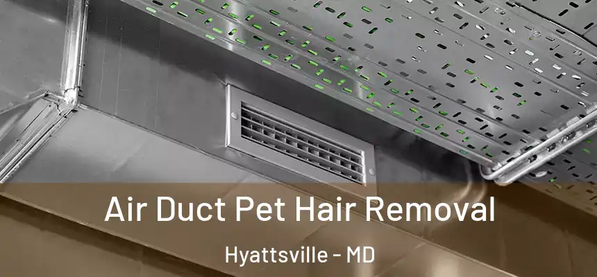  Air Duct Pet Hair Removal Hyattsville - MD