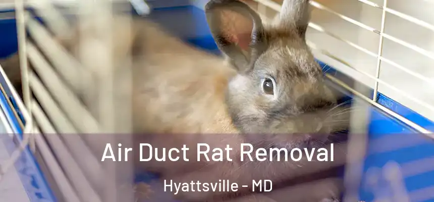  Air Duct Rat Removal Hyattsville - MD