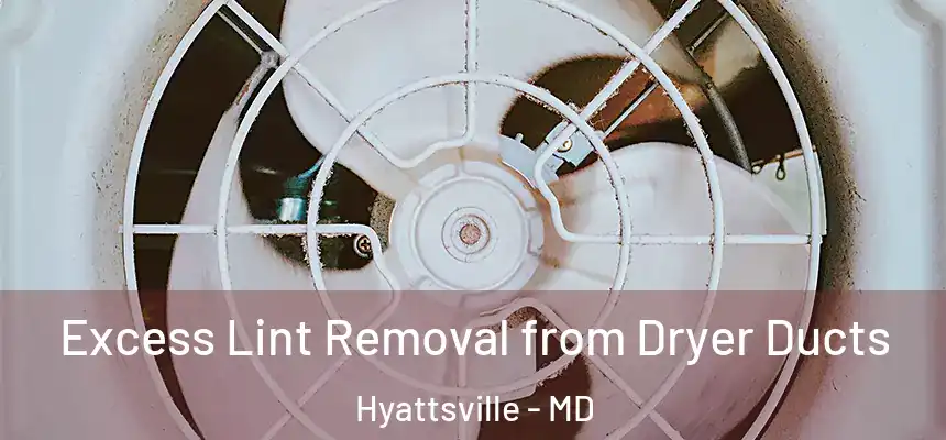  Excess Lint Removal from Dryer Ducts Hyattsville - MD