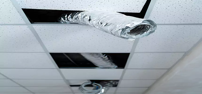 Affordable HVAC Sanitizing After Pest Removal in Hyattsville