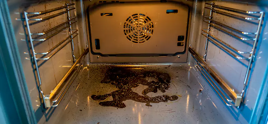 Our Dryer Vent Mold Cleaning Services in Hyattsville, MD