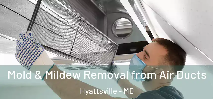 Mold & Mildew Removal from Air Ducts Hyattsville - MD