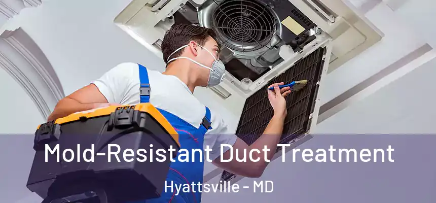 Mold-Resistant Duct Treatment Hyattsville - MD
