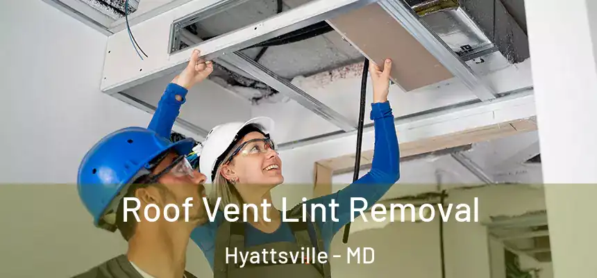  Roof Vent Lint Removal Hyattsville - MD