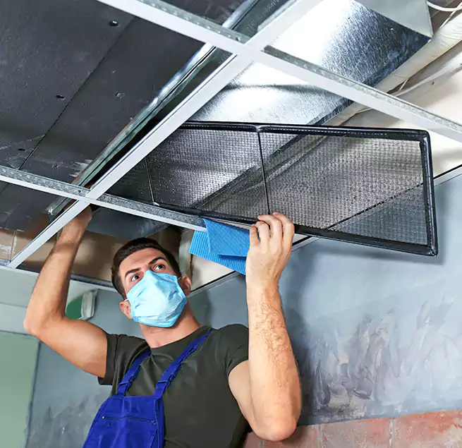 Why Homeowners Businesses Trust Us in Hyattsville, MD