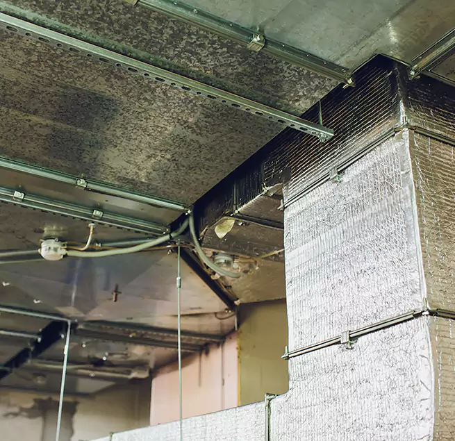 Why Homeowners & Businesses Trust Us in Hyattsville, MD?